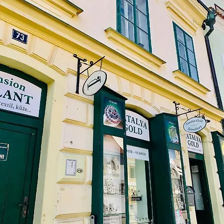 Loft Natalya Gold Apartmán *